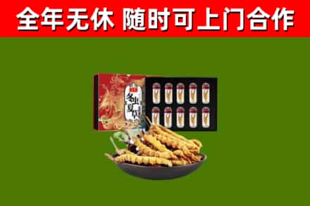 永和县回收冬虫夏草价格