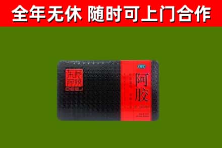 永和县回收阿胶